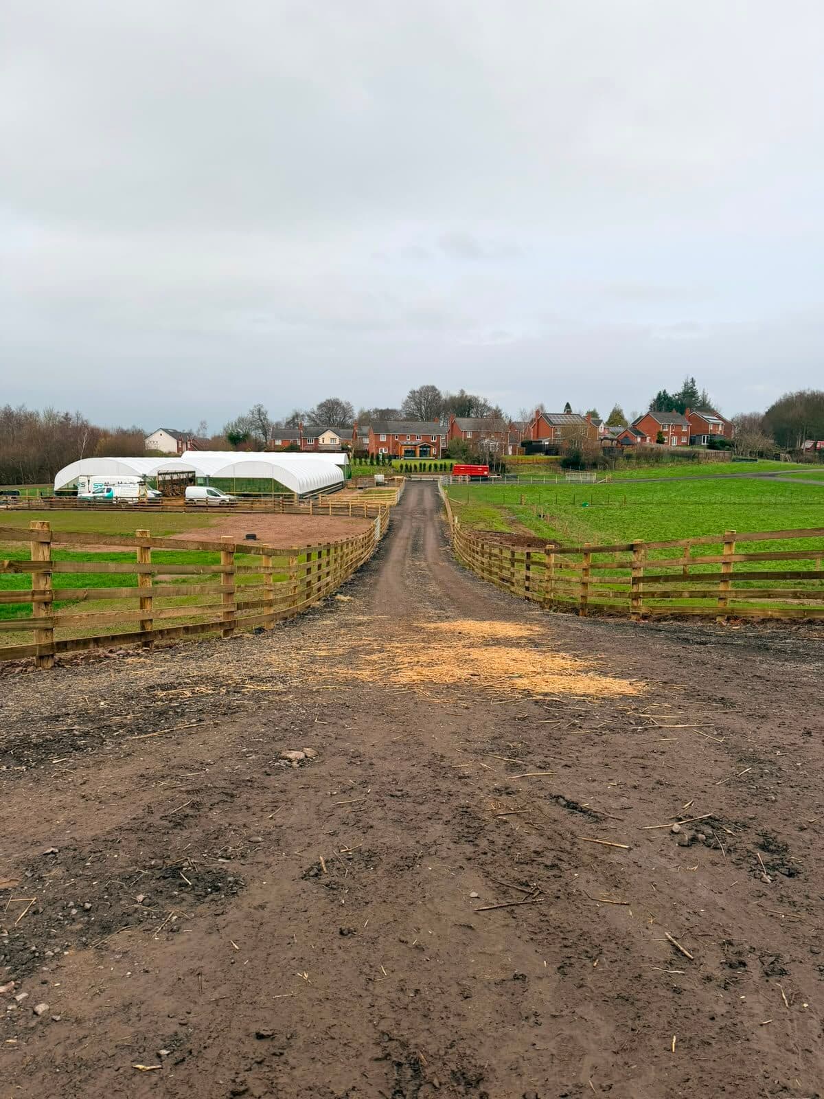 Post-and-rail fencing along a farm driveway between paddocks