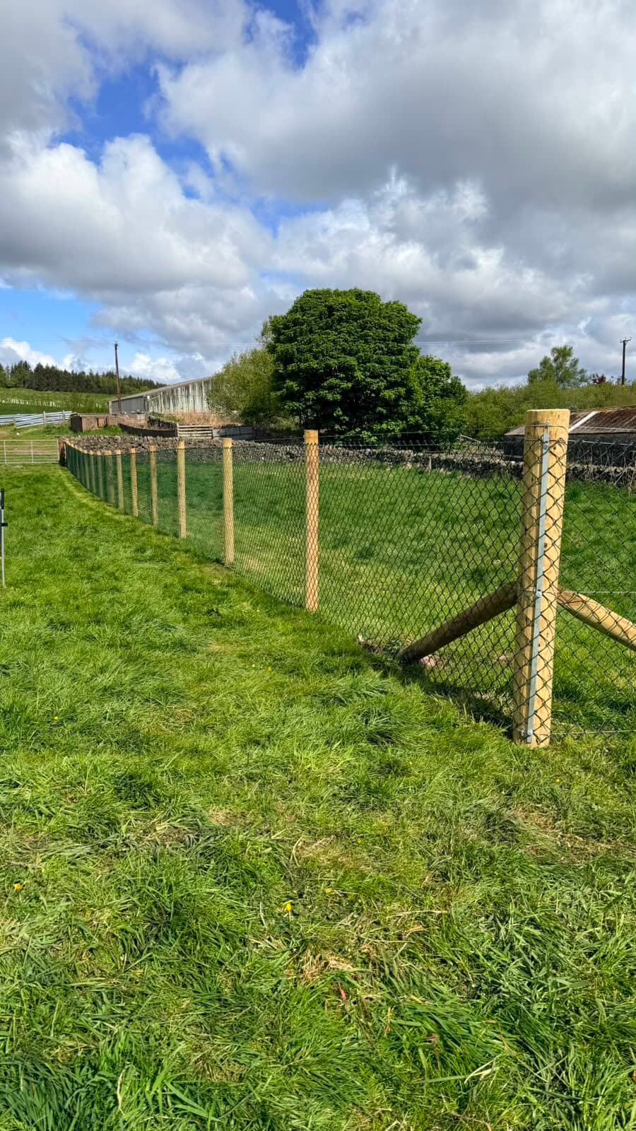 Newly installed wire mesh stock fencing along a farm boundary