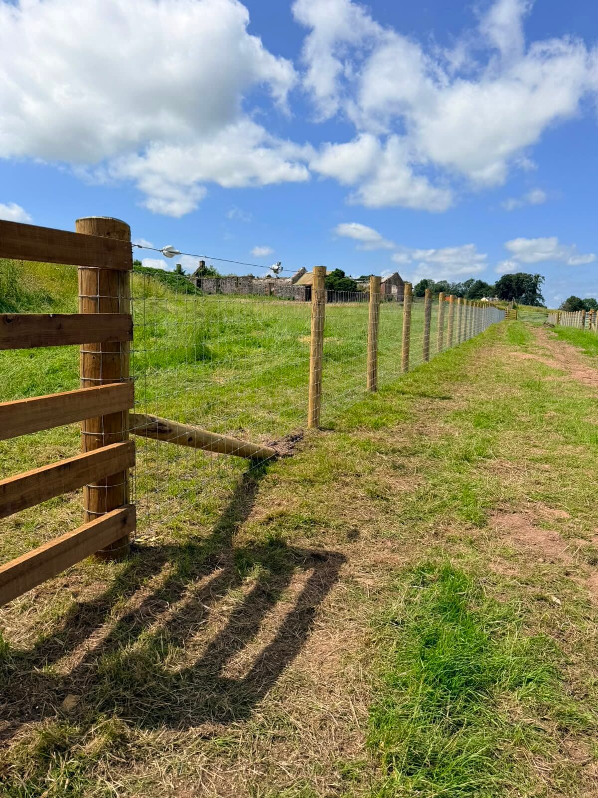 Wire stock fencing installed along a farm field boundary