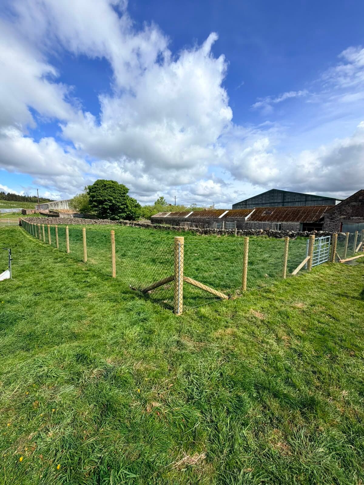 Timber garden fence outside a house