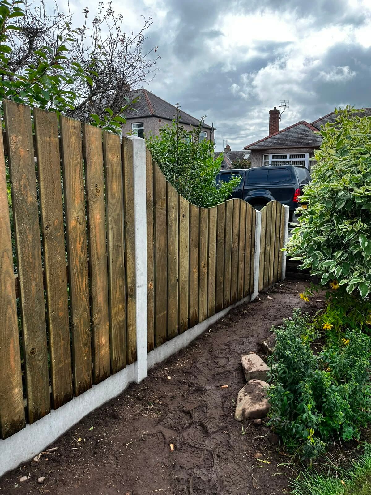 Close-board timber fencing with a scalloped top along a garden path