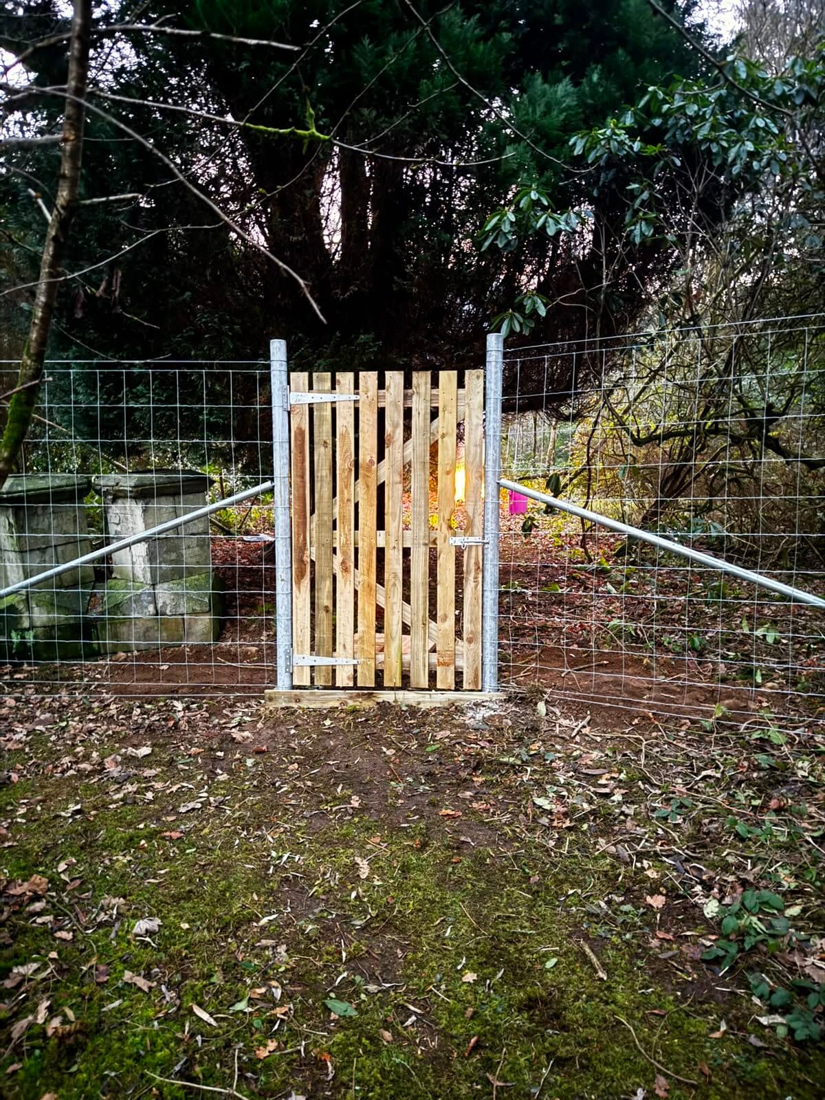 Timber gate set into a wire boundary fence at the edge of a garden